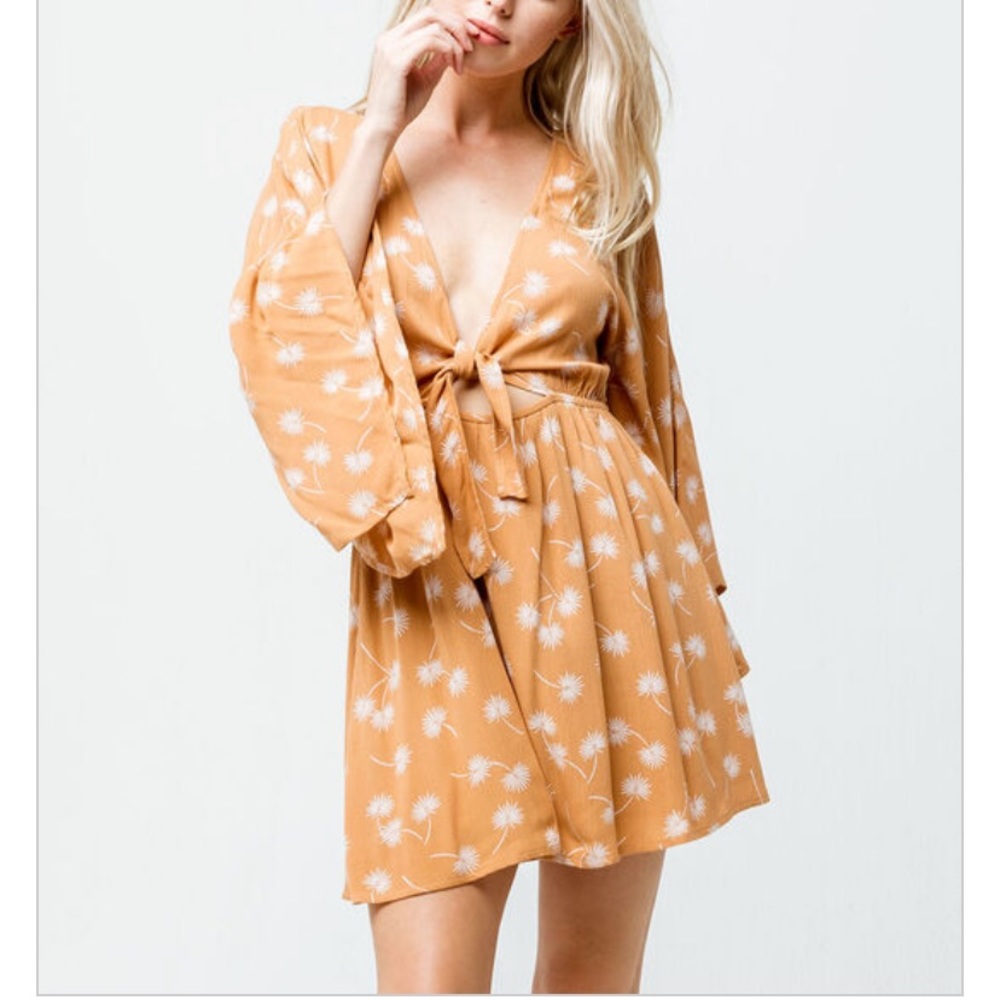 AMUSE SOCIETY WOMENS CLEMENTINA DRESS